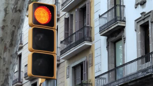 Желтый и зеленый современный светофор на фоне городского пейзажа — стоковое видео