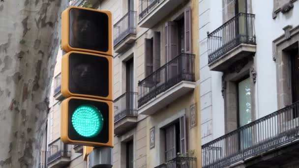 Red, yellow and green modern traffic light on cityscape background — Stock Video