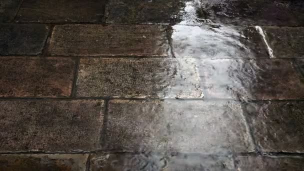 Saison des pluies, gouttes de pluie tombant sur le sol ou la rue — Video