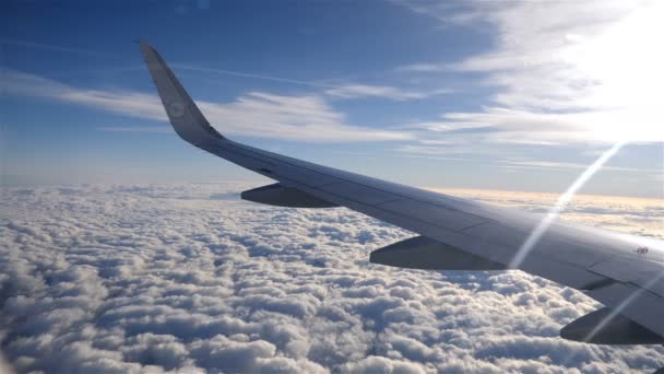 Repülőgép Vagy Jet Gyönyörű Kék Háttér Bolyhos Felhők Mozgó Szárnya — Stock videók