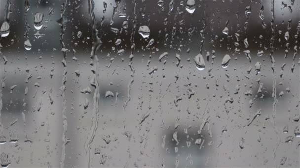 落在玻璃上 雨滴落在透明的窗户上 水冷凝在透明玻璃在城市风景或大厦在模糊 — 图库视频影像