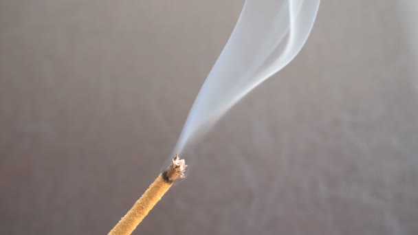 Белый дым от аромастика или ароматической палки — стоковое видео