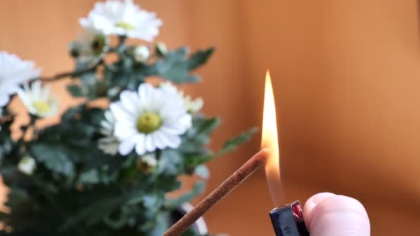 Aromastick or aromatic stick burn up fire — Stock Video