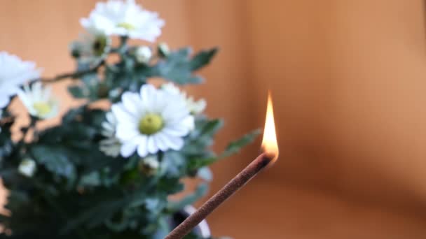 Аромастик или ароматическая палка сжигают огонь — стоковое видео