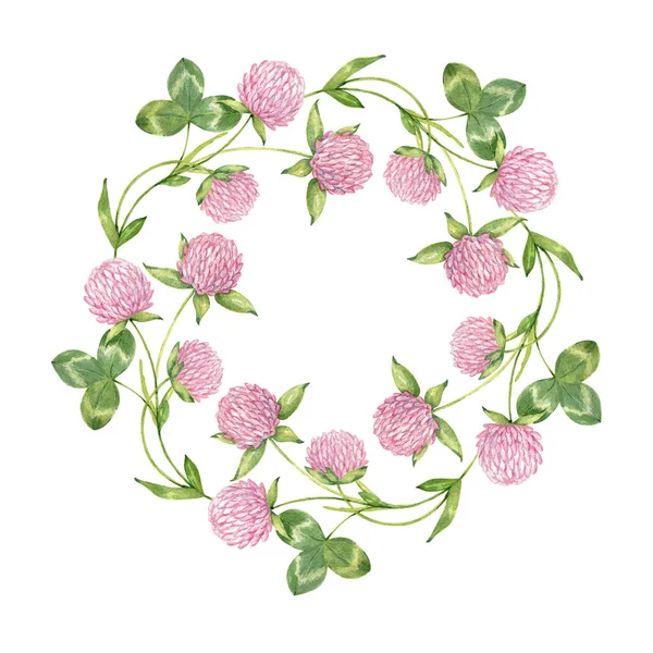 Akvarel růžový jetel izolovaný na bílém pozadí. Roztomilý věnec se shamrockem. Ilustrace lučních květin. — Stock fotografie