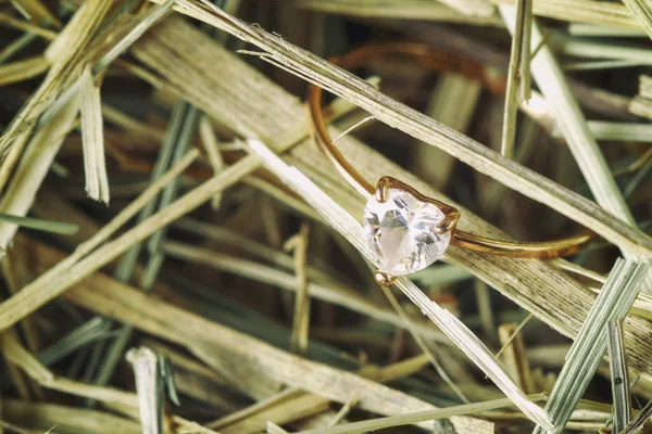diamond ring on the Seine photo