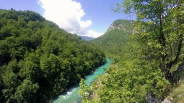 Bir vadiden akan nehir dağ. Panoramik nehir akışı dağlarda. Dağ manzarası ile nehir ve orman.