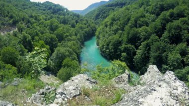 Panoramik nehir akışı dağlarda. Bir vadiden akan nehir dağ. Dağ manzarası ile nehir ve orman.