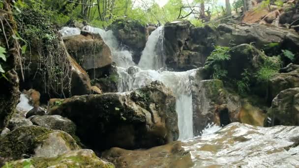 Waldbach Mit Wasserfall Montagevideo Unberührte Wasserfälle Tief Wald Gebirgsbach Schnee — Stockvideo