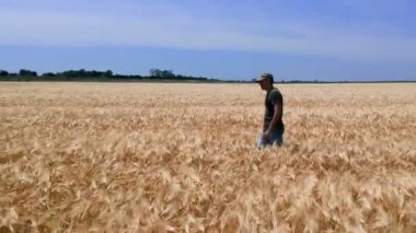 Arpa alanında erken yaz aylarında yürüyüş köylü yan görünüm. Yaz aylarında arpa kırpma alanını inceleyerek çiftçi.