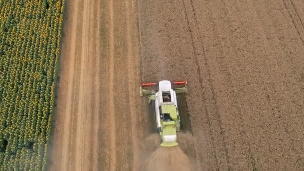 Hava Uçuş Çalışması Sırasında Hasat Makine Üzerinde Üstten Görünüm Birleştir — Stok video