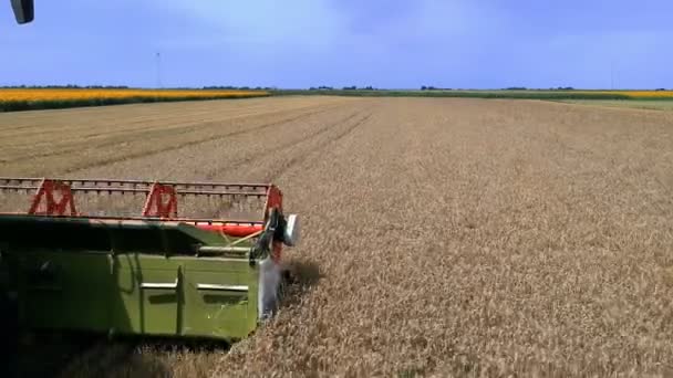 Luchtfoto Zijaanzicht Van Combine Harvester Maaien Van Tarwe Voedsel Industrie — Stockvideo