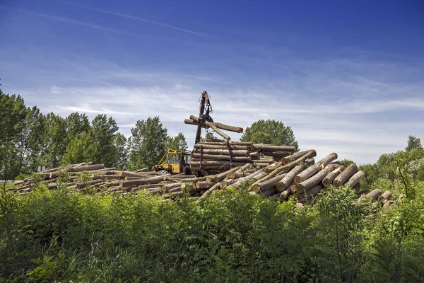 Caricamento Camion Pieno Tronchi Albero Industria Del Legname Vista Sul — Foto Stock