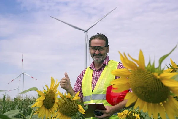 Engineer standing in sunflower field, showing thumb up at wind farm. Portrait of middle aged man in hard hat smiling at camera.