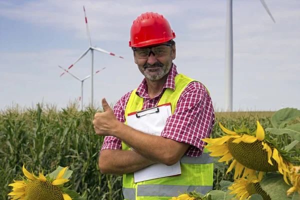 Ingeniero Sonriente Con Casco Seguridad Rojo Pie Campo Girasol Mostrando — Foto de Stock