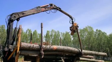 Yükleme A kamyon ağaç günlükleri - Ağaç Kereste Sanayi dolu. Heavy Duty Orman makineleri içinde hareket.
