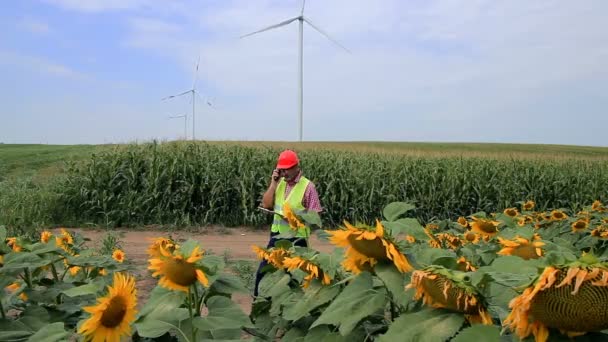 Arbetaren Vindkraftverk Landsbygdens Landskap Vind Lantarbetaren Använder Radio Kommunikationsenhet — Stockvideo