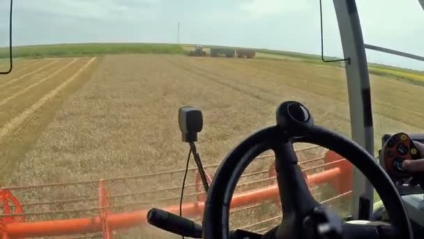 Vista Interior Agricultor Conduciendo Una Cosechadora Controles Funcionamiento Las Manos — Vídeo de stock