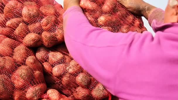 農民トラクター トレーラーにジャガイモの袋を読み込みます ジャガイモ農業 新鮮なジャガイモのメッシュ袋の山 — ストック動画