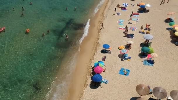 人们在海滩上享受夏天 夏季海滩人员和寄生虫的头顶鸟图 — 图库视频影像