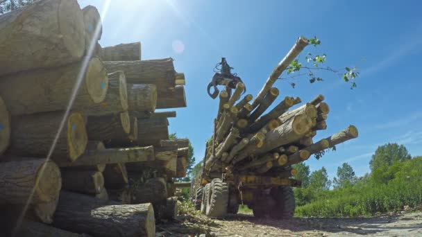 Crane Grabbing Pile Wooden Logs Lumber Industry Logging Truck Swing — Stock Video