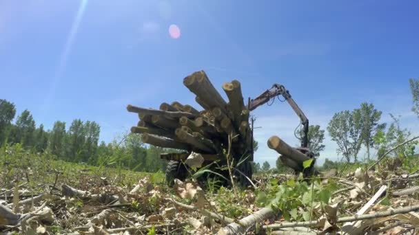 Industrie Bois Bois Levage Grue Levage Chargement Bras Oscillant Camion — Video