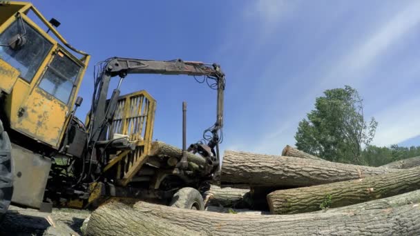 Hout Oogsten Houtindustrie Kraan Grijpen Stapel Van Logboeken Een Commerciële — Stockvideo