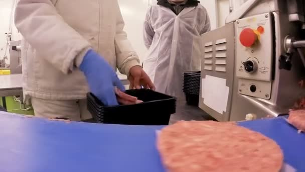 ハンバーガーのパティ肉加工肉業界でラインを形成します コンベア ベルトにハンバーガー ひき肉 ハンバーガーのパティ肉生産ライン — ストック動画
