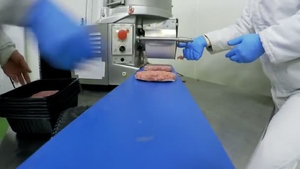 Гамбургери Переробки Яса Лінії Виробництва Заводу Ясний Фарш Патті Формування — стокове відео