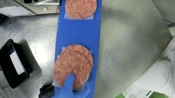 Hamburger Fließband Burger Fließband Hackfleisch Patty Formende Verarbeitungslinie Der Fleischindustrie — Stockvideo