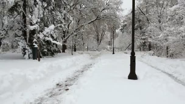 Winter Stadspark Drone Beelden Vliegen Boven Het Pad Sneeuw Winter — Stockvideo