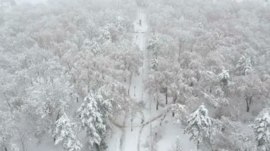 Güzel kış City Park üzerinde uçan. Kış City sahneden sonra kar fırtınası. Kış City Park - dron görüntüleri. 