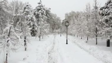 Kış City sahneden sonra kar fırtınası. Kış City Park - dron görüntüleri. Karla kaplı ağaçlar ve şehir park banklar.