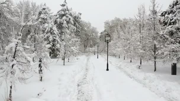 Winter City Scene Snow Blizzard Inglés Winter City Park Drone — Vídeo de stock
