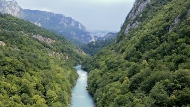 Гірська Річка Протікає Через Каньйон Пташиного Польоту Панорама Річки Потоку — стокове відео