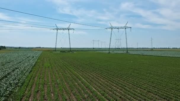 高圧送電線と鉄塔と農業分野 高圧送電線の近くの飛行 高電圧電気送電鉄塔のライン — ストック動画