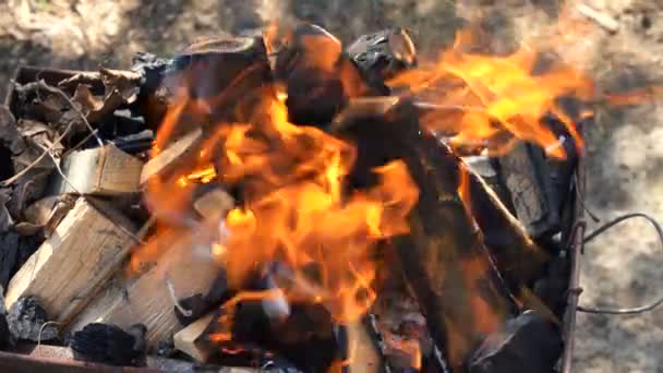 バーベキューで炎を燃やし 石炭を燃やす バーベキューグリルの火を準備する屋外で燃えるバーベキュー火災 — ストック動画