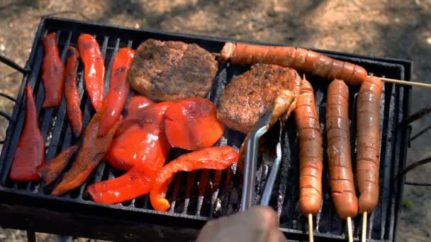 Różne Grillowane Mięso Czerwona Papryka Nad Węglem Grilla Ręka Pomocą — Wideo stockowe