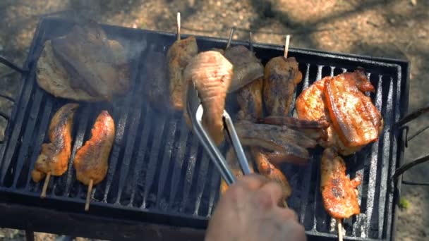 Разнообразное Вкусное Мясо Гриле Над Углями Барбекю Мясо Гриле Овощи — стоковое видео