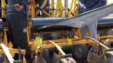 Çiftçiler Yalan için Plastik Malç hazırlanıyor. Sebze Yatağına Plastik Malç Altında Damla Mamul Sulama Kurulumu. Sebze Üretimi için Plastik Malç Yatak Döşeme.