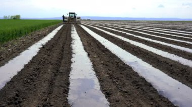 Sebze Üretimi için Plastik Malç Yatak Döşeme. Aynı geçişte tarım saladeği olan traktör gübre dağıtıyor, sulama hatlarını döşeyir ve sürekli malç plastik.