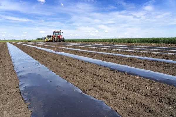 Tracteur dans un champ posant un lit de paillis en plastique pour la production de légumes — Photo