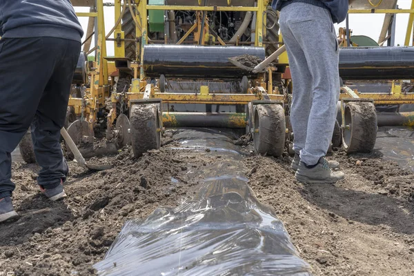 Двоє працівників сільського господарства працюють за трактором - пластиковий мульчування — стокове фото