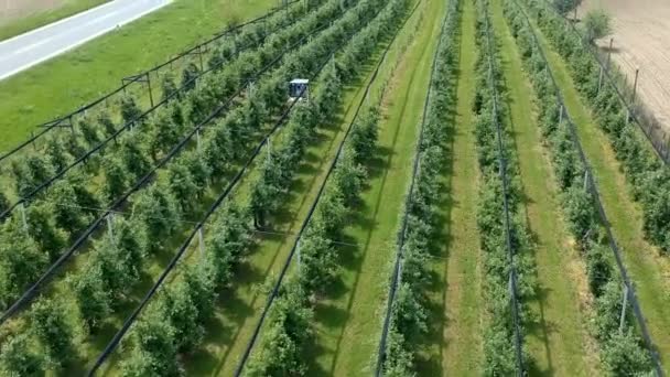 Vue aérienne d'un tracteur dans un verger. Agriculteur conduisant tracteur à travers le verger de pommes - Vue aérienne. Pulvérisation d'un pommier avec un tracteur. Filets de protection contre la grêle au-dessus d'une plantation de pommiers .