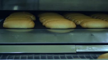Taze Sıcak Pişmiş Ekmek Somun Endüstriyel Fırın Çıkıyor. Ekmek Fabrikası. Gıda İşleme Tesisi. Ekmek yapımı için endüstriyel üretim hattı. Gıda Üretimi.
