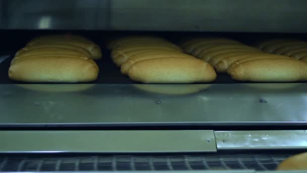 Frisch Gebackene Brotlaibe Aus Dem Industrieofen Brotfabrik Lebensmittelverarbeitungsanlage Industrielle Produktionslinie — Stockvideo