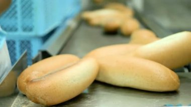 Teslimat için Taze Pişmiş Ekmek. Fırıncı Sepete Ekmek Yüklüyor. Ekmek Fabrikası. Gıda İşleme Tesisi. Gıda Üretimi.
