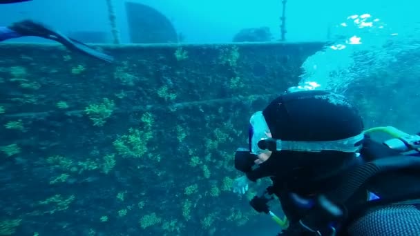 Diver Odkrywania Dużego Wraku Slow Motion Scuba Diver Pokazuje Znak — Wideo stockowe