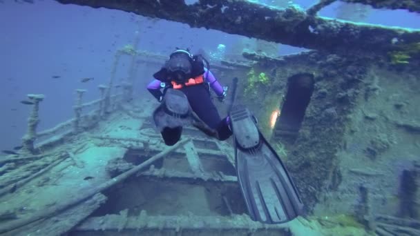 Scuba Diver Utforskar Ett Stort Skeppsbrott Dykning Inne Skeppsbrottet Bakifrån — Stockvideo