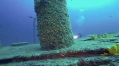 Büyük Bir Batık Keşfetmek Scuba Dalgıçlar. Gemi Enkazının İçinde Tüplü Dalış. Okyanus Seabed Üzerinde Eski Batık Gemi.